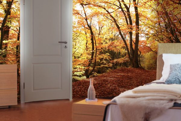 Clipso - Paysages - CD 1058 Chambre